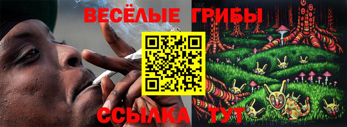Псилоцибиновые грибы мухоморы Стрежевой